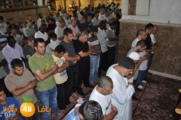 trawe7 mahmodiya 713 (21).JPG